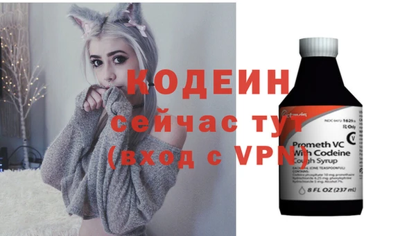 мдпв Бородино