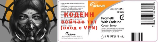 мдпв Бородино