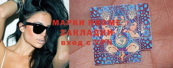 мдпв Бородино