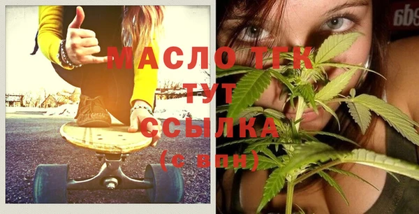 мдпв Бородино