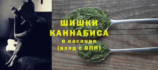 мдпв Бородино