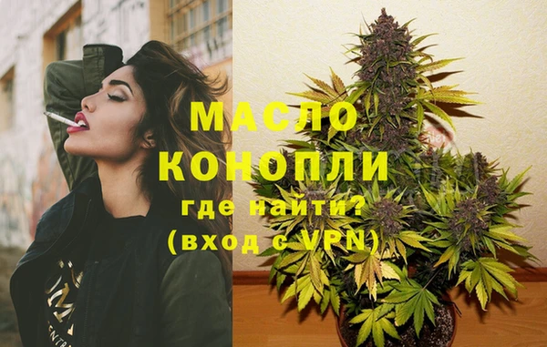 мдпв Бородино