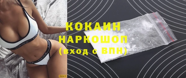 мдпв Бородино
