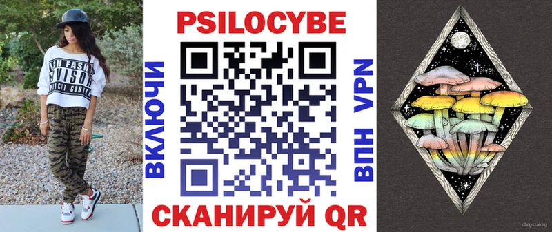 где купить наркоту  Мытищи  Псилоцибиновые грибы Psilocybe 